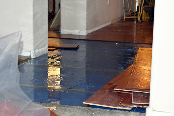 Professional Basement Flood Cleanup technician working in Eleanor, WV